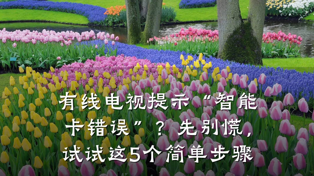 有线电视提示“智能卡错误”?先别慌,试试这5个简单步骤
