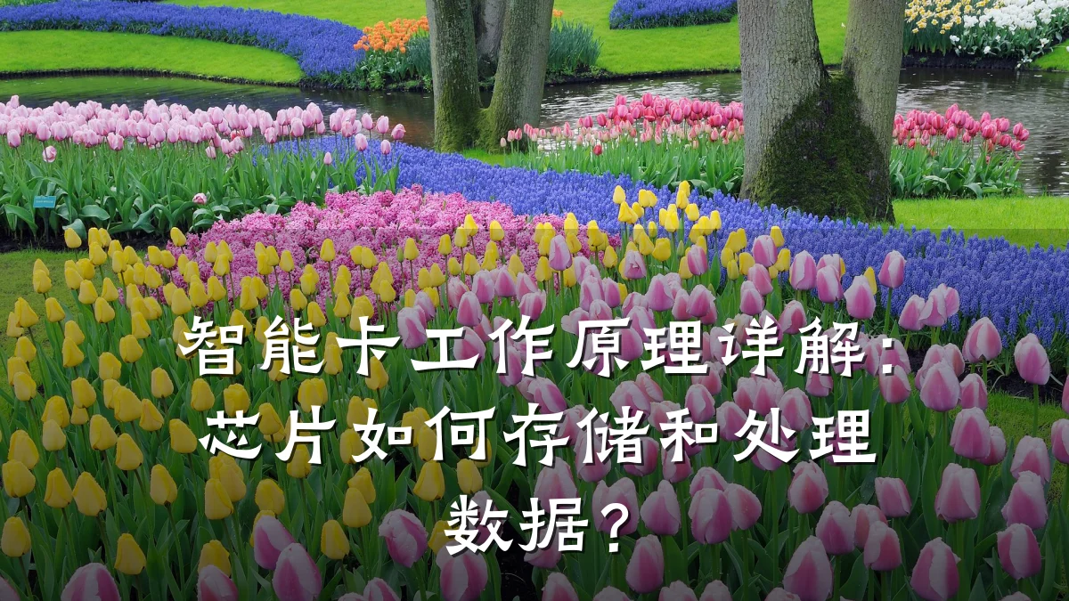 智能卡工作原理详解:芯片如何存储和处理数据?