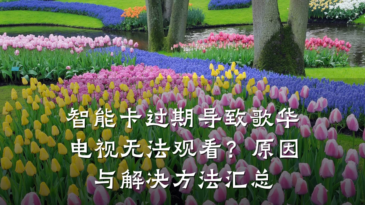 智能卡过期导致歌华电视无法观看？原因与解决方法汇总