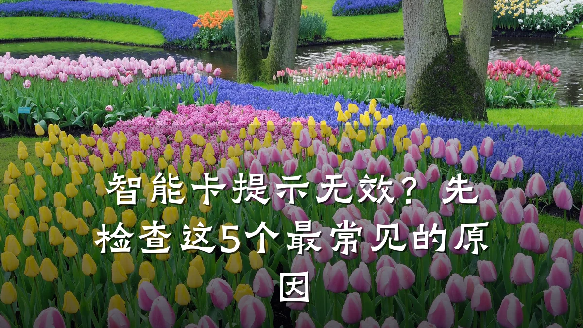 智能卡提示无效?先检查这5个最常见的原因