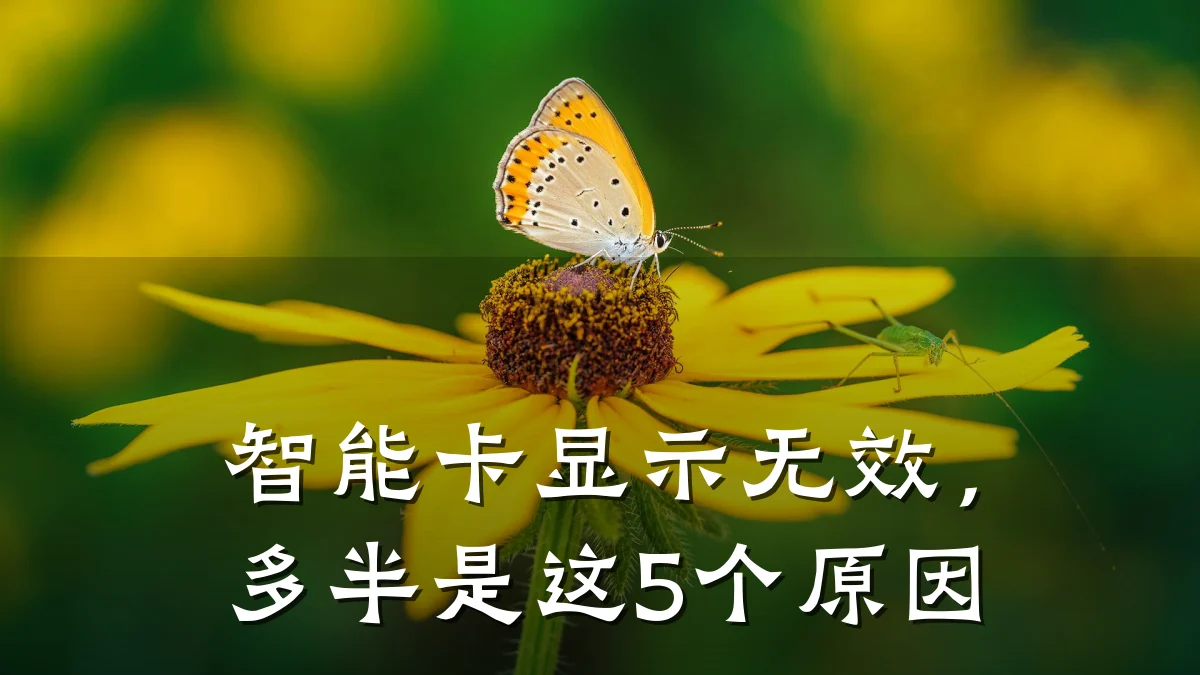 智能卡显示无效,多半是这5个原因
