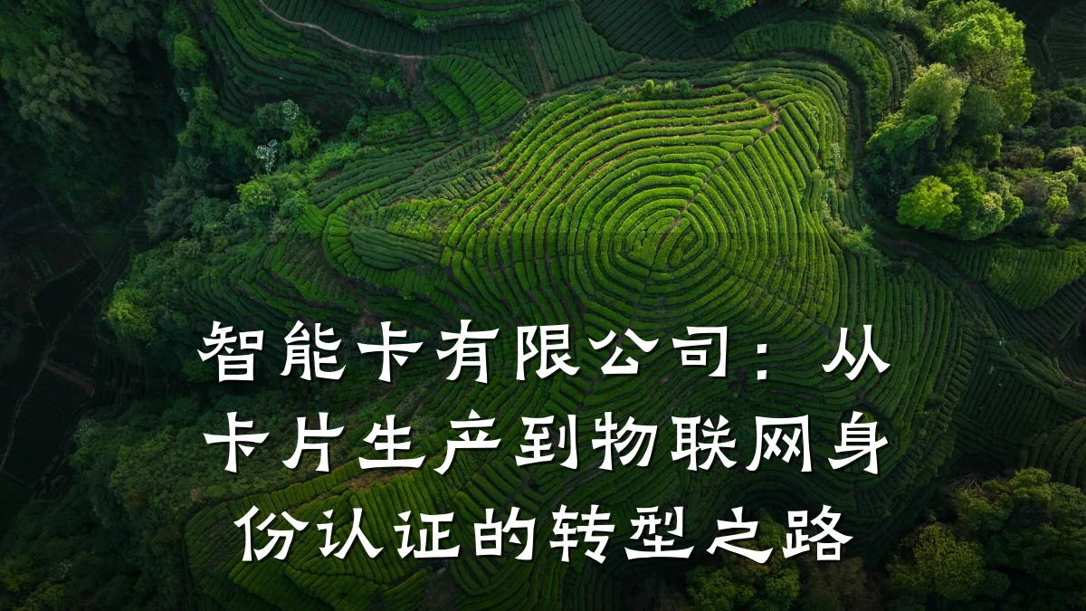 智能卡有限公司:从卡片生产到物联网身份认证的转型之路