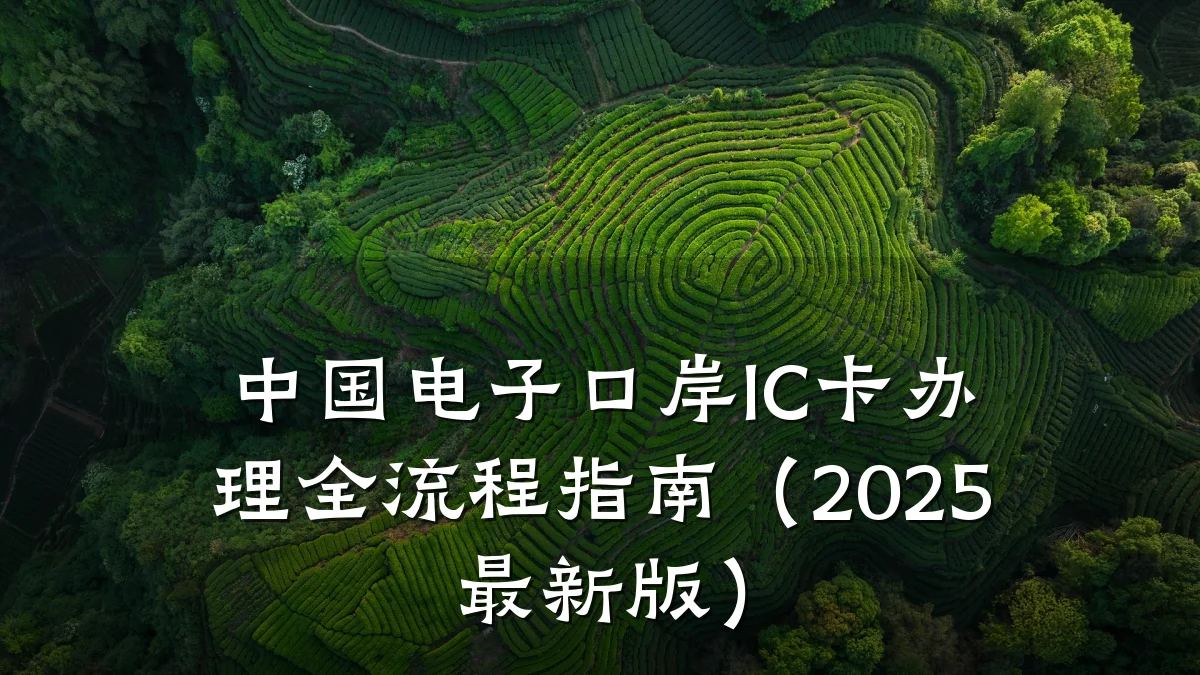 中国电子口岸IC卡办理全流程指南(2025最新版)