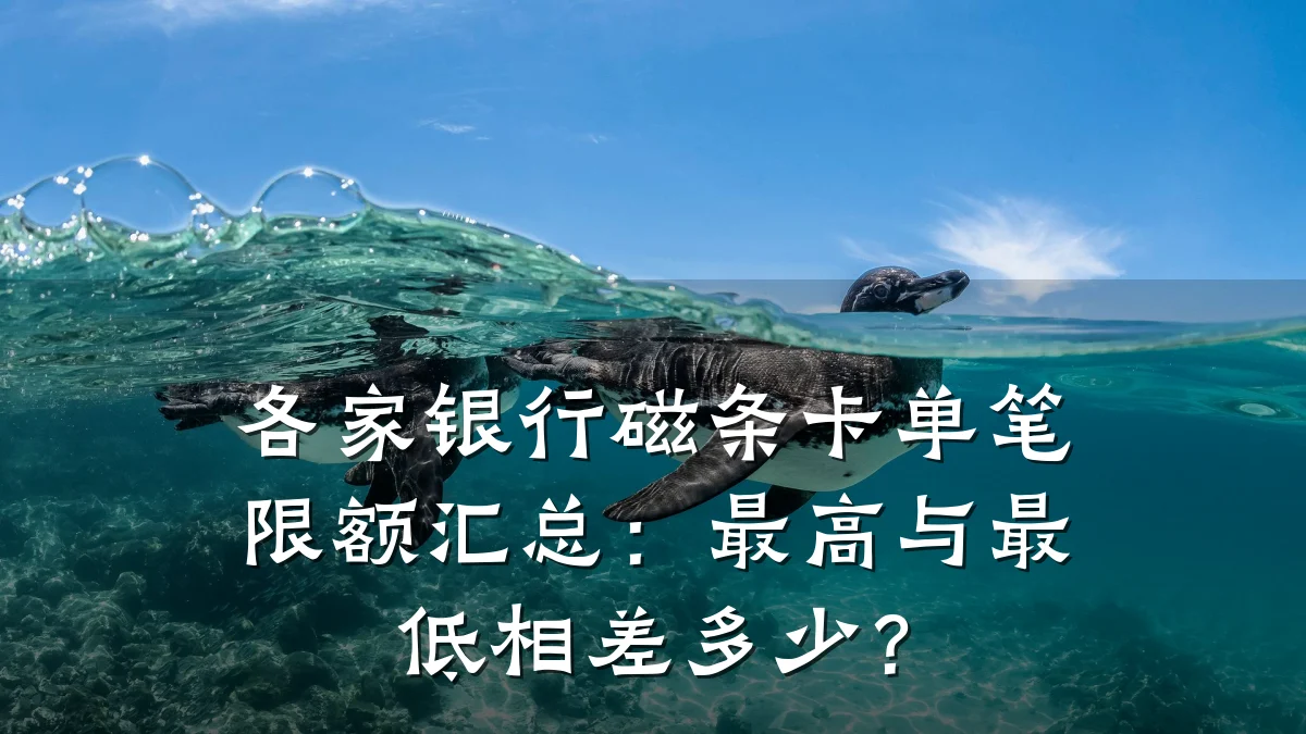 各家银行磁条卡单笔限额汇总:最高与最低相差多少?