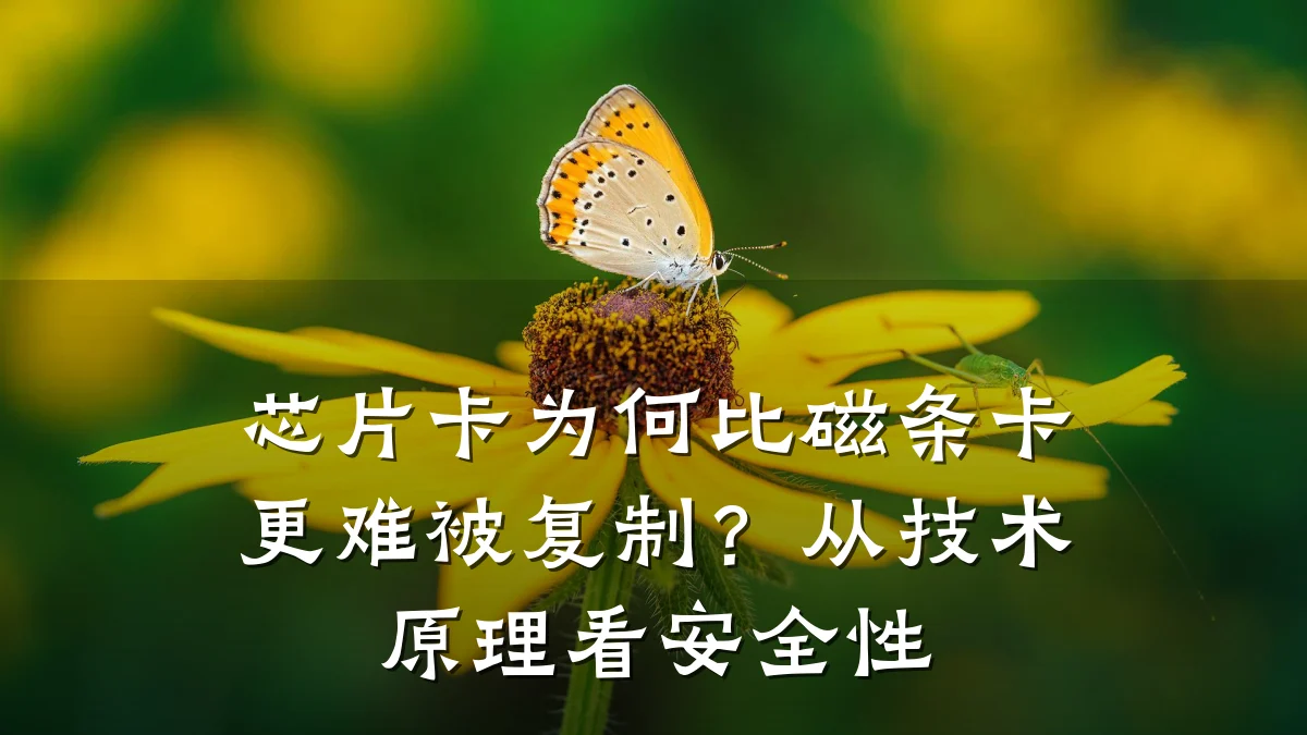 芯片卡为何比磁条卡更难被复制？从技术原理看安全性